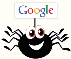 spider google